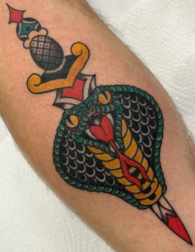 daga atravesando al cabeza de una serpiente