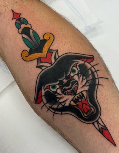 daga atravesando la cabeza de un puma